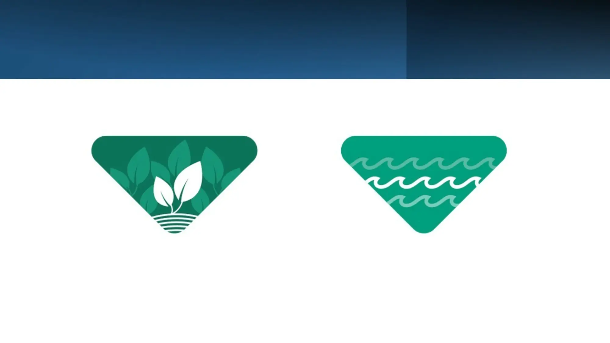 Spotlight Report 2021: Ensuring Environmental Sustainability
