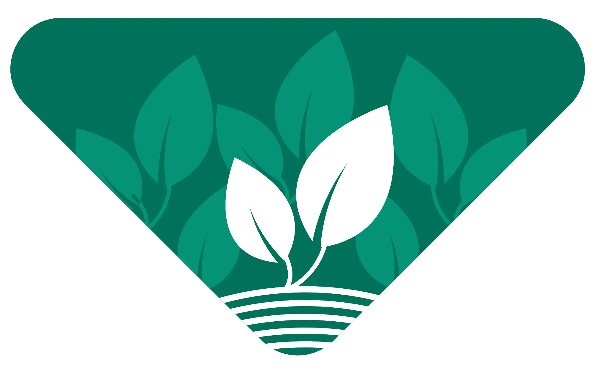 Roundtable: Steward Natural Resources and Address Climate Change
