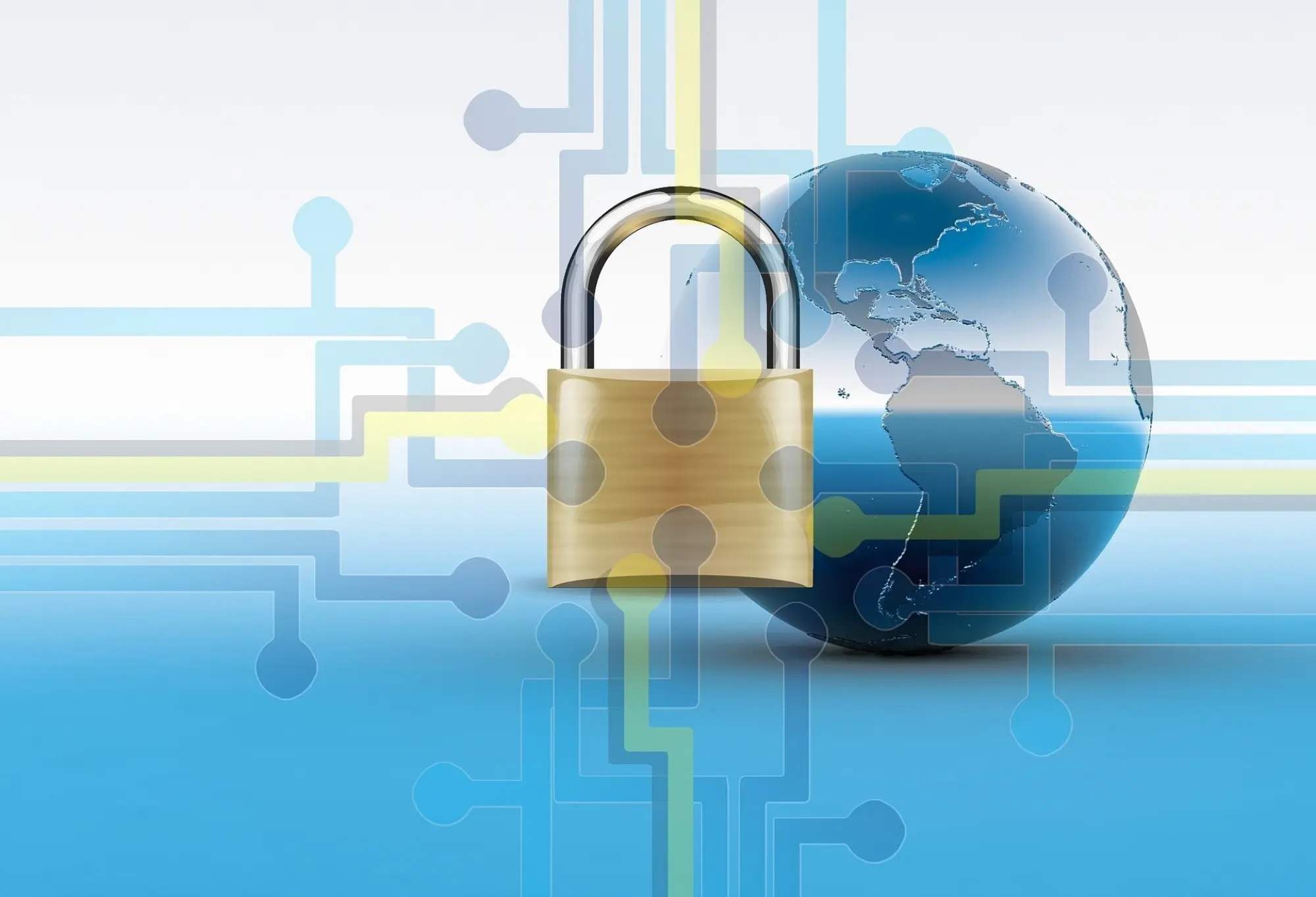 Thoughts from Our Fellows: Ensure Data Security and Privacy Rights of Individuals
