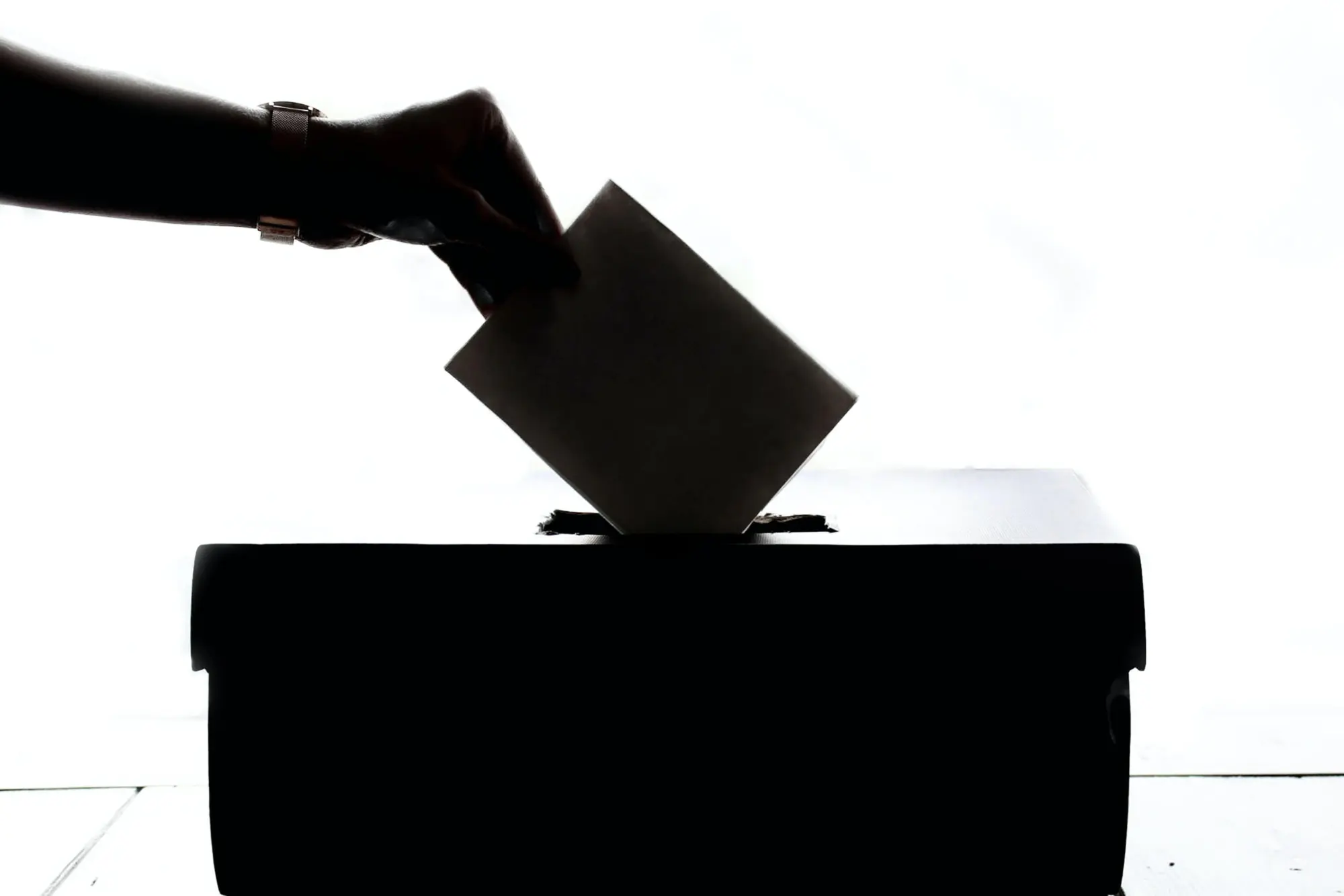Thoughts from Our Fellows: Protect Electoral Integrity and Enhance Voter Participation
