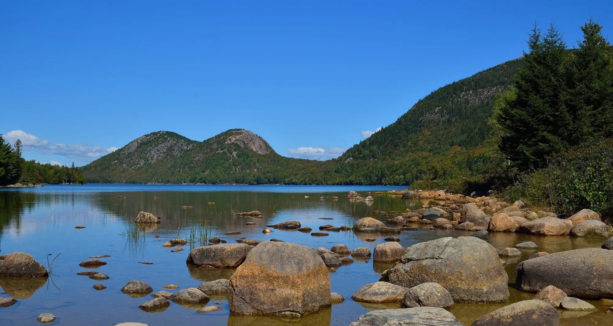 Thoughts from Our Fellows: Steward Natural Resources and Address Climate Change
