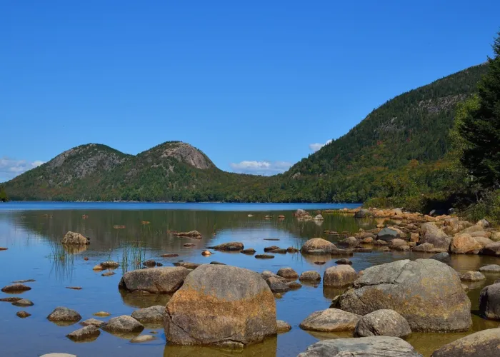 Thoughts from Our Fellows: Steward Natural Resources and Address Climate Change