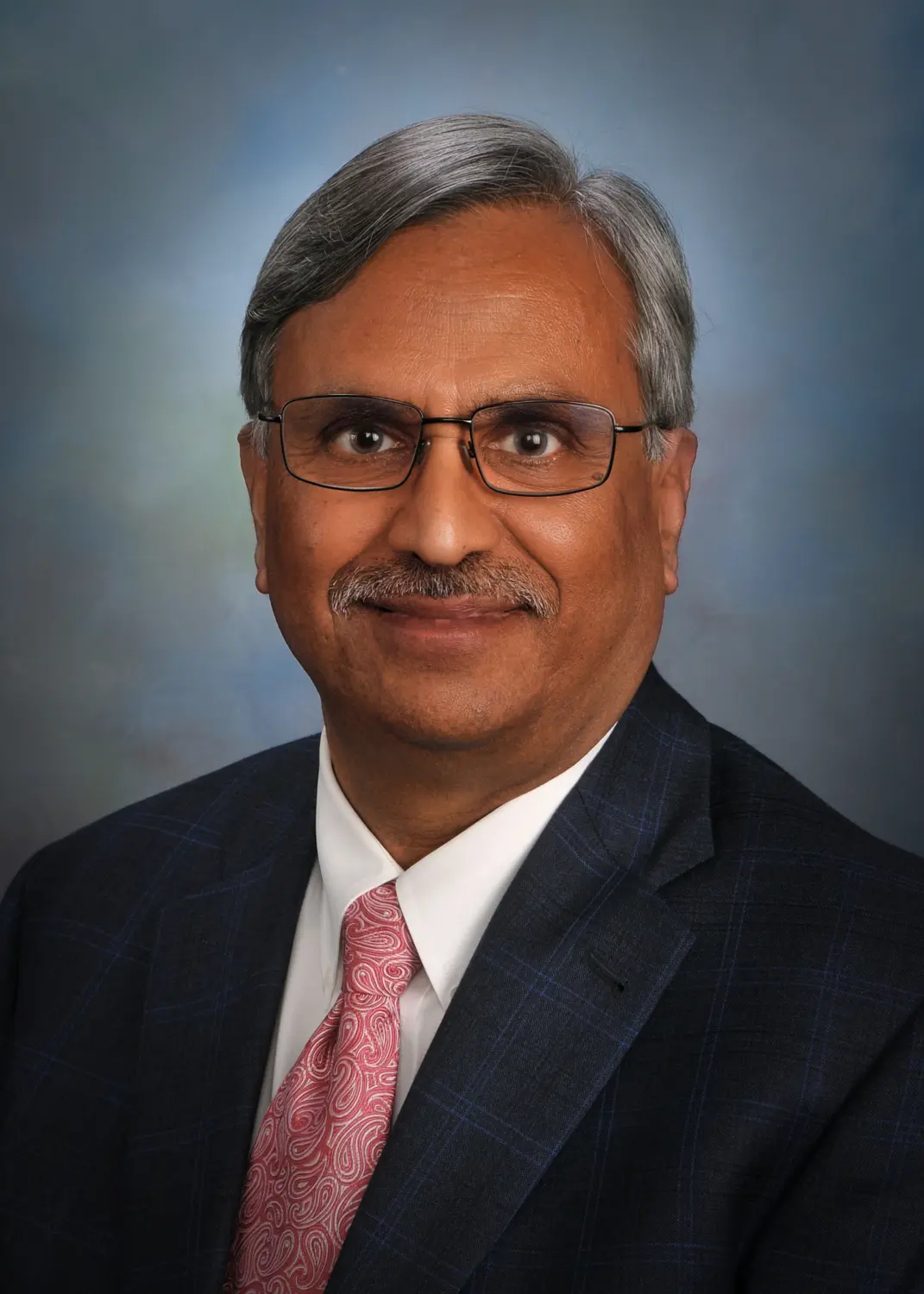 Fellow Spotlight: Rakesh Mohan