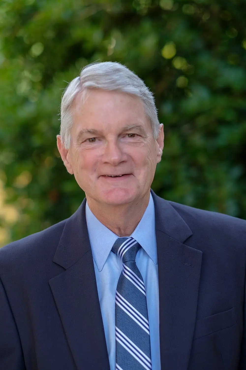 Meet Our Fellows: David Ammons