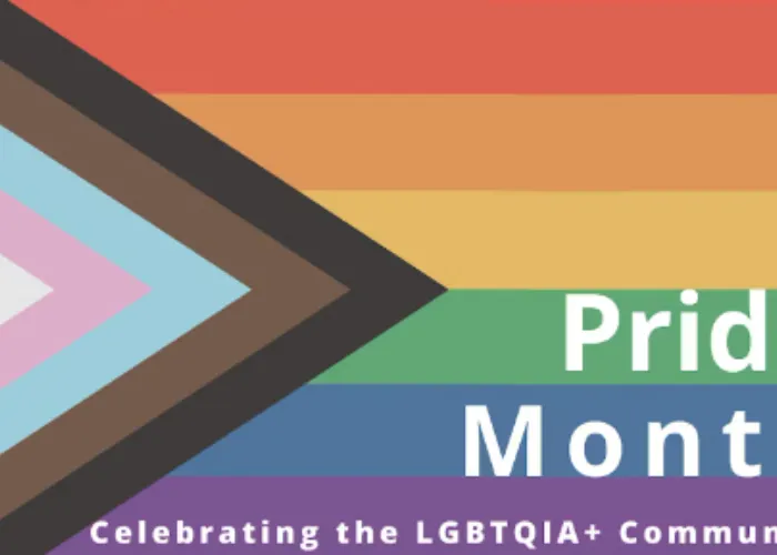 Pride Month 2024: A Focus on Progress at Businesses and Organizations