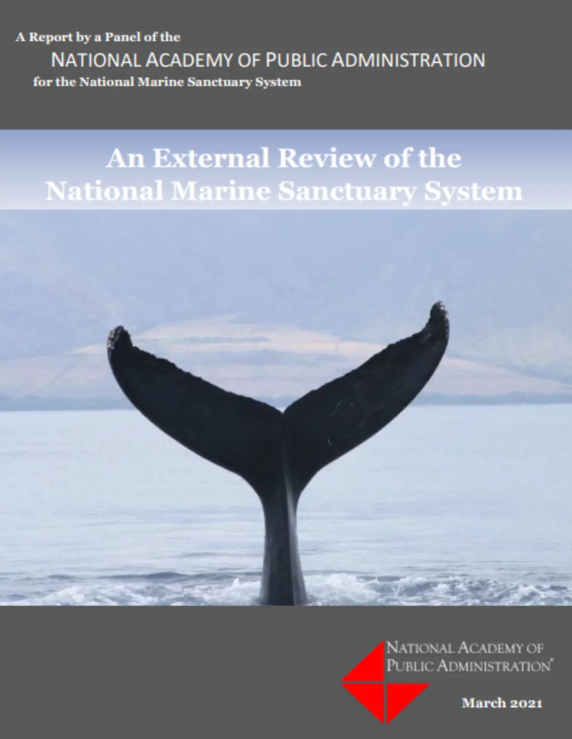 Public Administration's Behind-the-Scenes Role in Summer Adventures