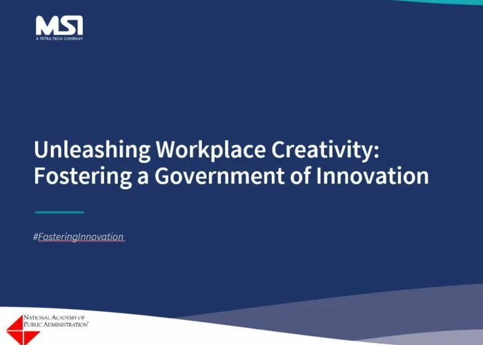 Unleashing Workplace Creativity:Fostering a Government of Innovation